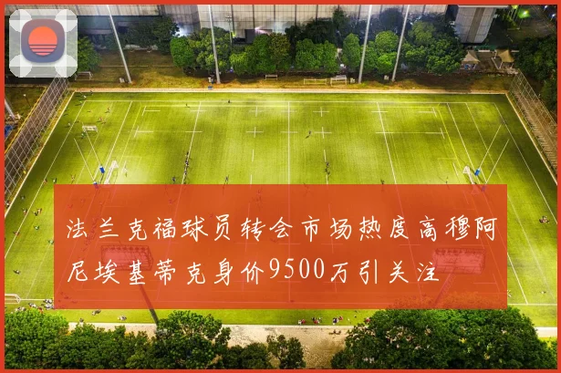 法兰克福球员转会市场热度高穆阿尼埃基蒂克身价9500万引关注